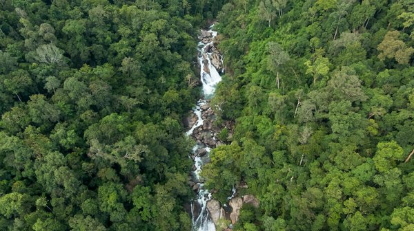 Choisir son logiciel ged : 3 critères essentiels