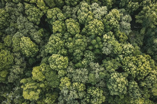 Puissance fiscale d'une voiture : conseils pour réduire son impact sur votre assurance auto